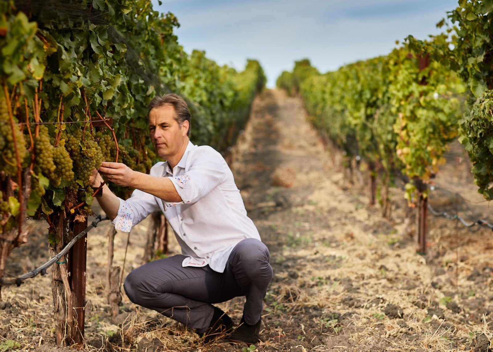 A Day in the Vineyard